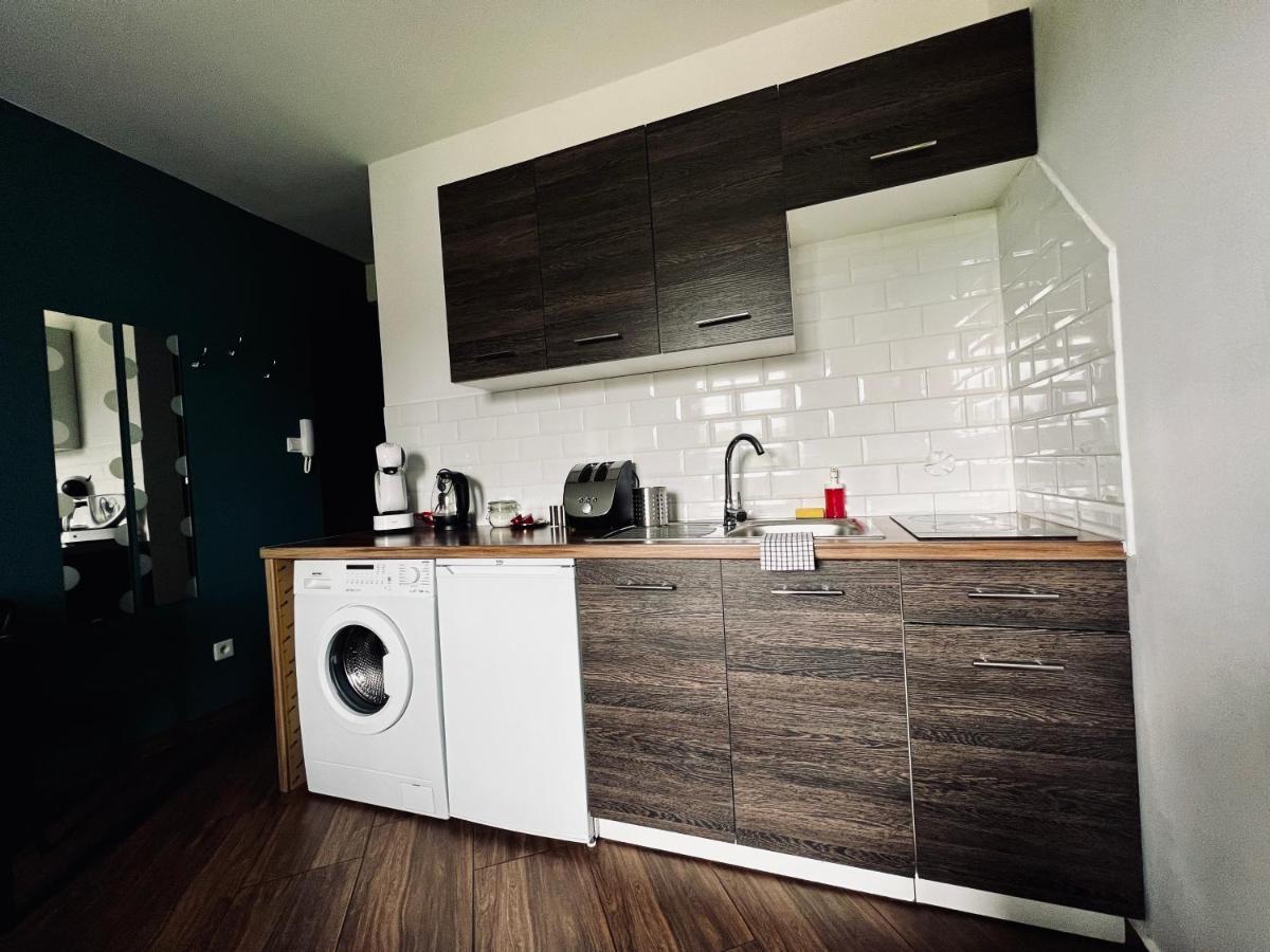 Nalu Apartments No 10&17 Katowice Kültér fotó